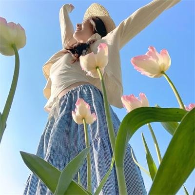 歌坛惊梦
